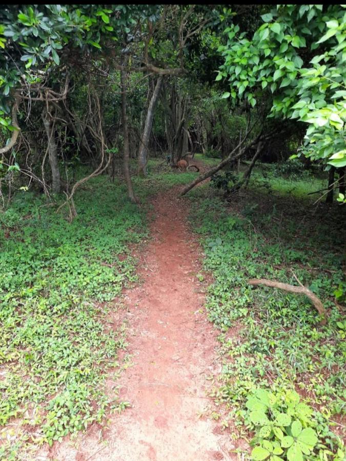 ウムドロティNo 2 Heleza Blvd Sibaya, Ocean Deuns, Umhlanga Durbanアパートメント エクステリア 写真